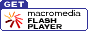 FLASH�v���O�C�����_�E�����[�h